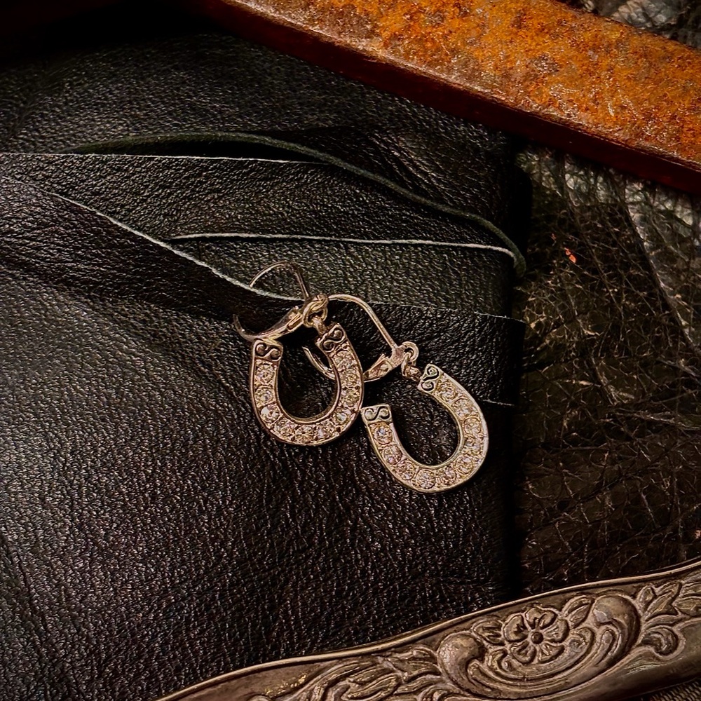 ⚙️3For$30⚙️ NEW Horse shoe rhinestone short dangle earrings